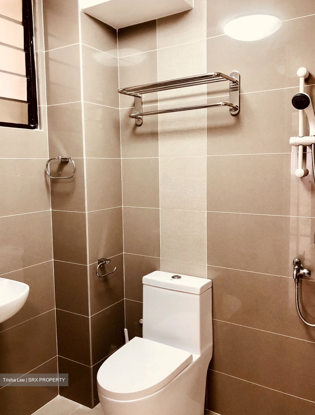 Sommerville Park (D10), Condominium #572693291
